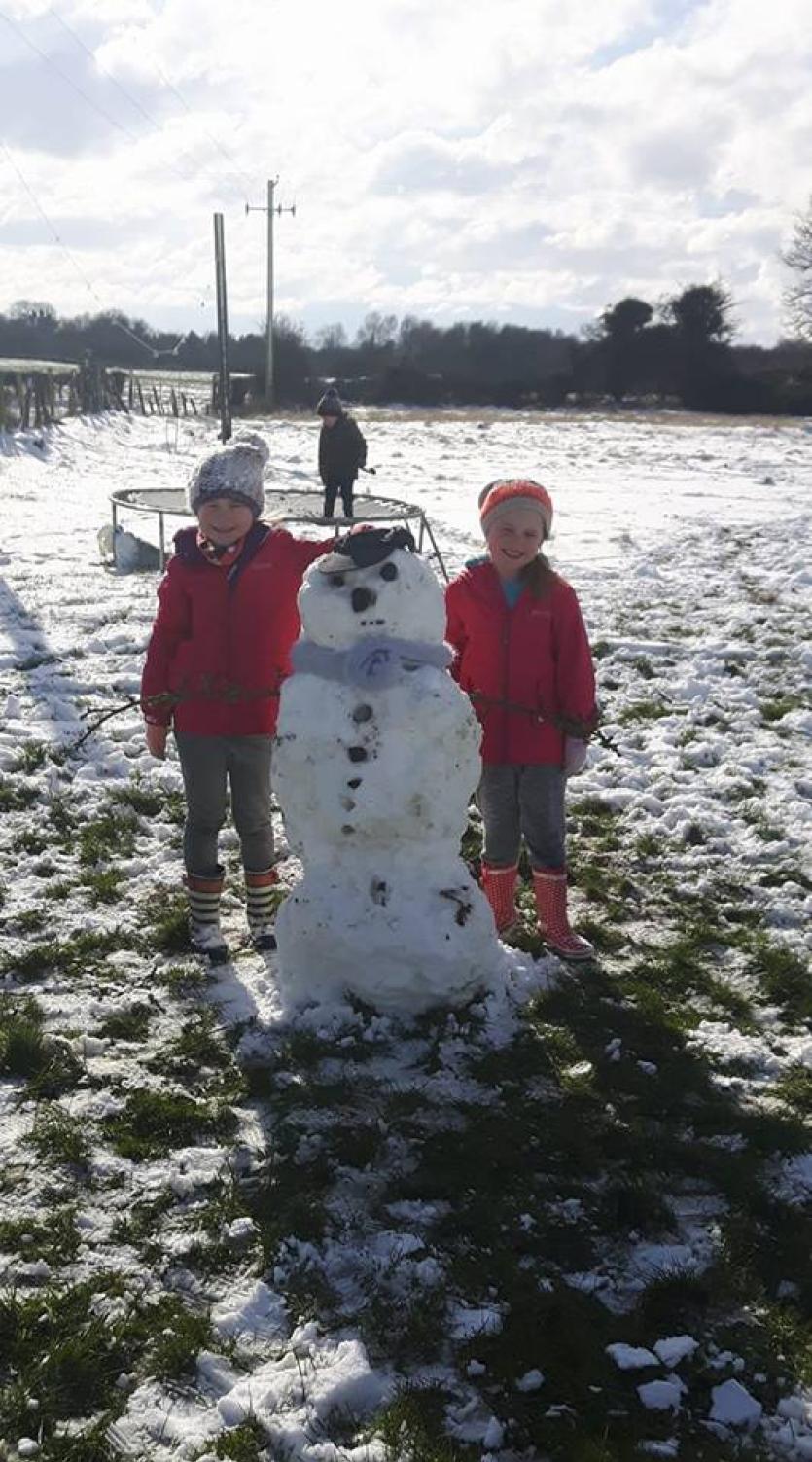 Snowman 41