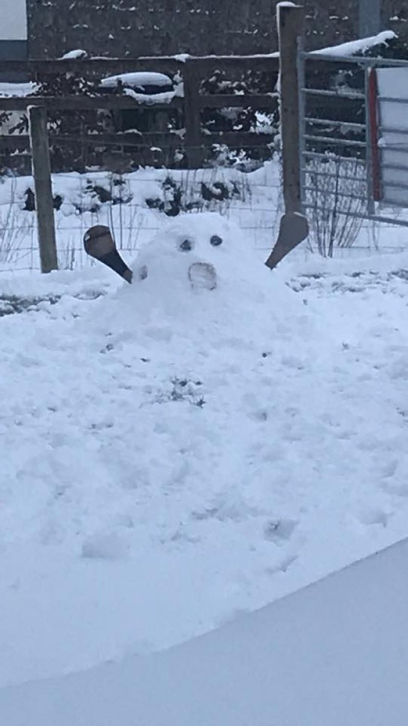 Snowman 42