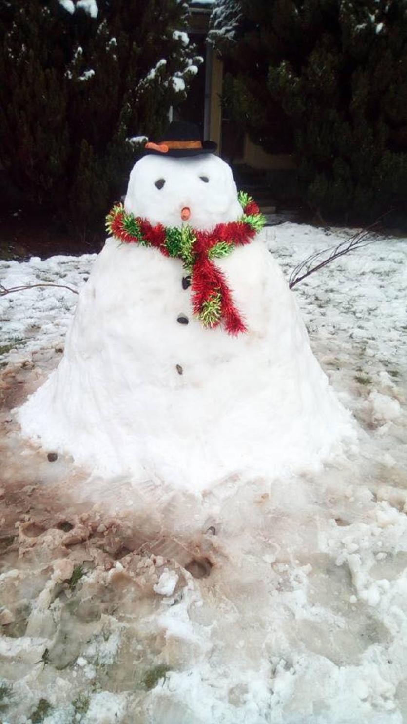 Snowman 50