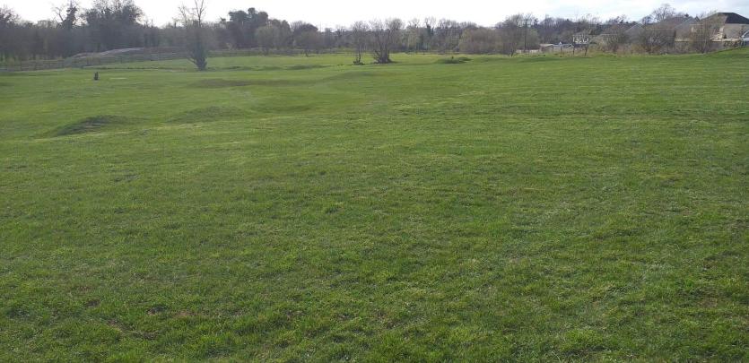 Edenderry's pitch and putt course set to open in May - Photo 1 of 6 ...