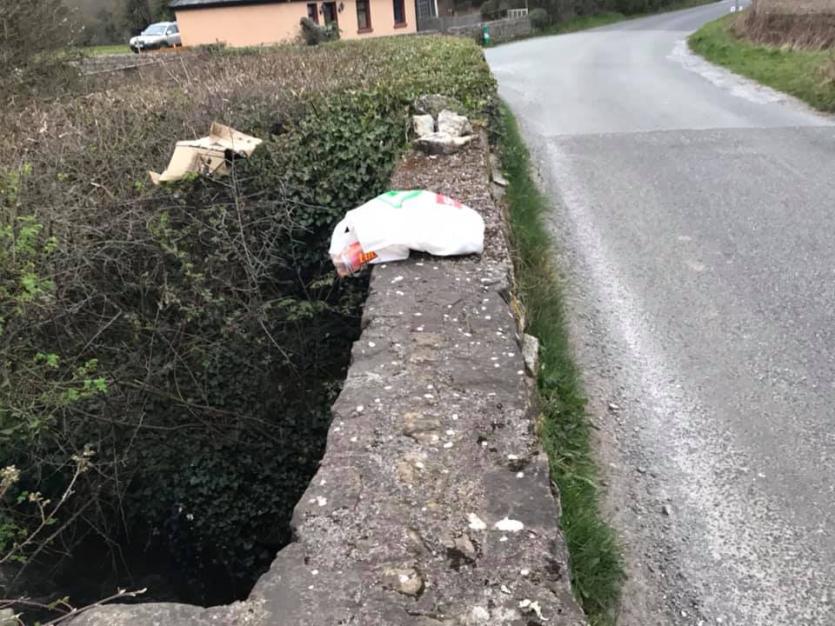 Pictured is some of the rubbish discovered along the roadside 