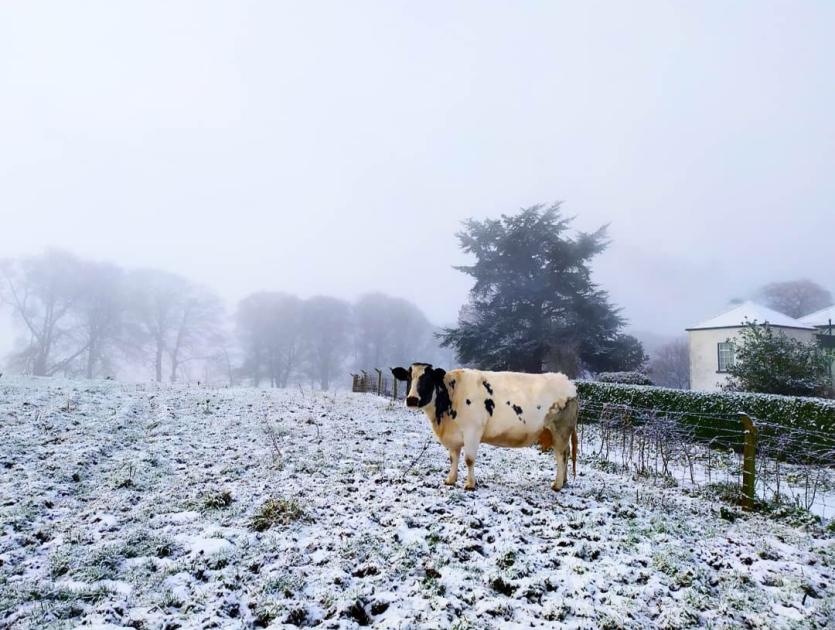 Aoife Wyer, Durrow, Co Offaly