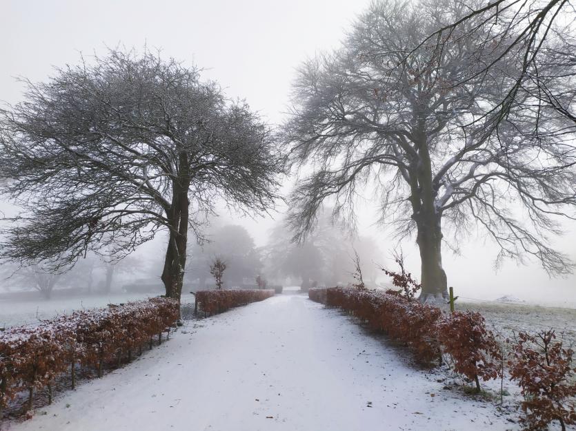 Aoife Wyer, Durrow, Co Offaly
