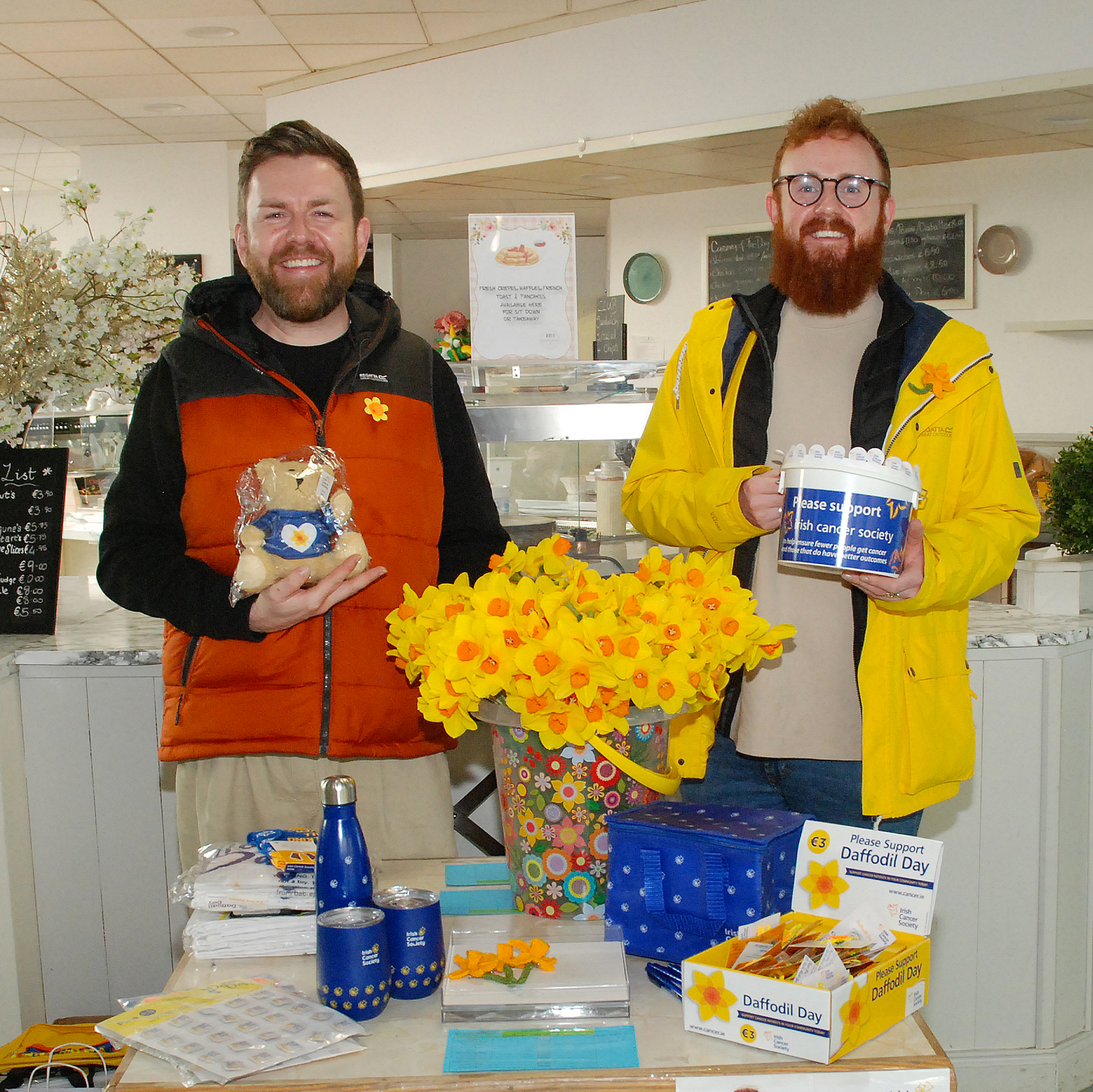 daffodil day roscrea