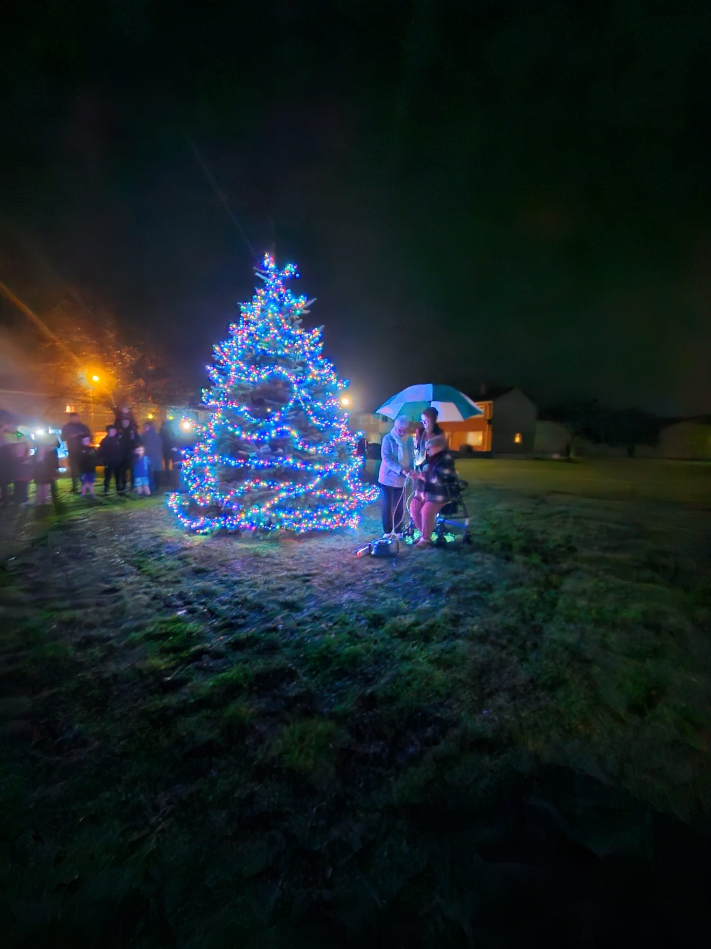 Kennedy Park Christmas tree 2024
