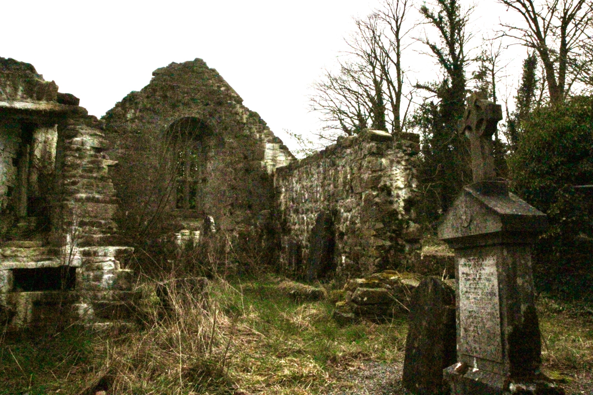 Roscrea Sean Ross Abbey