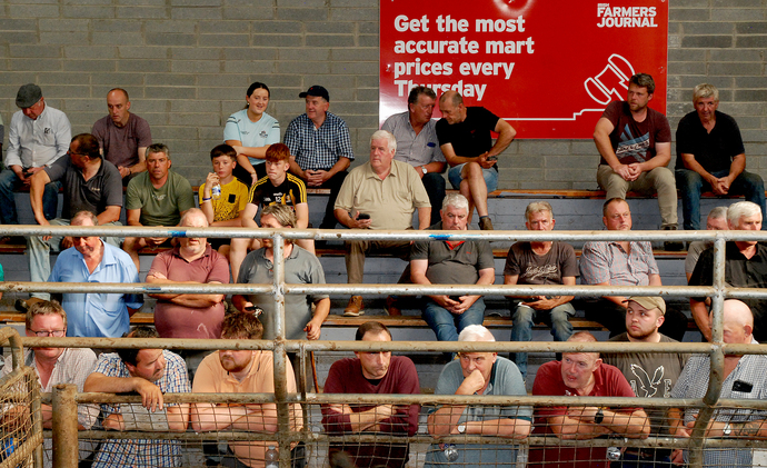 roscrea mart